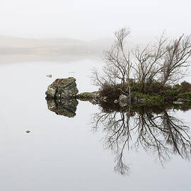 Rannoch Moor Mist by Grant Glendinning