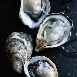 Raw Oysters by Jack Andersen