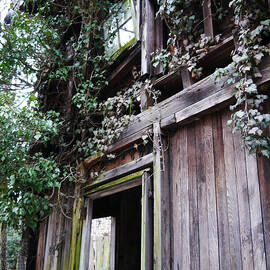 Recycling by Richard Reeve