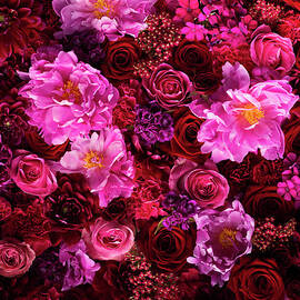 Red And Pink Cut Flowers, Close Up by Jonathan Knowles