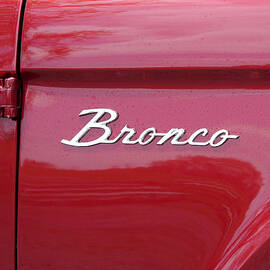 Red Bronco I by Richard Reeve