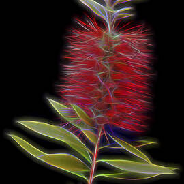 Red Brush Glow by Kelley King