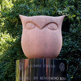 Red Owl at Temple by Richard Reeve