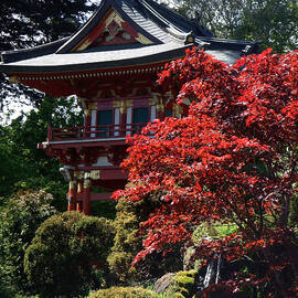 Red Pagoda by Richard Reeve