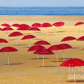 Red Umbrellas by Carlos Caetano