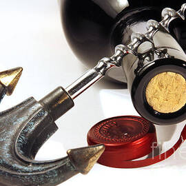 Red Wine Tasting by Stefano Senise