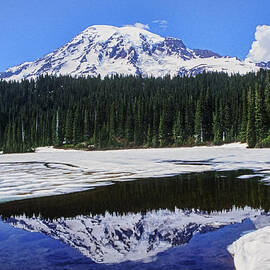 Reflection by Kelley King