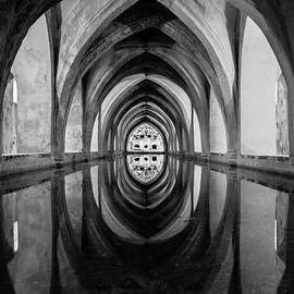 Reflection of Perfection BW by AM FineArtPrints