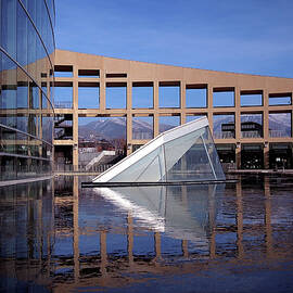 Reflections at the Library by Rona Black