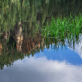 Reflections in a Mountain Pond by Mary Lee Dereske