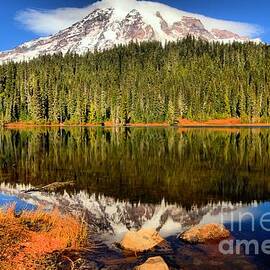 Reflections Of Mt Rainier by Adam Jewell