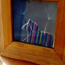 Reflections of The Rainbow Horse by Richard Reeve