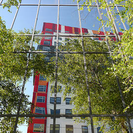 Reflections on Montgomery Ave by Richard Reeve