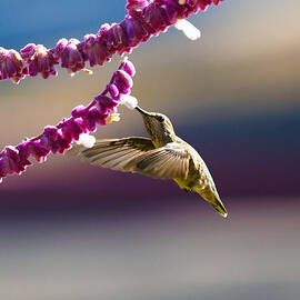 Refueling by Joe Schofield
