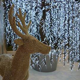 Reindeer Bling by Richard Reeve