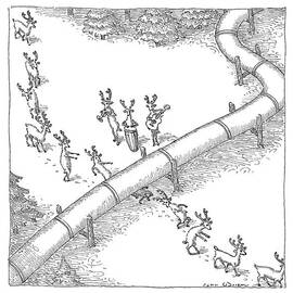 Reindeer In A Conga Line Do The Limbo by John O'Brien