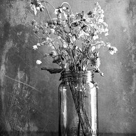 REMAINS OF THE SEASON by Theresa Tahara