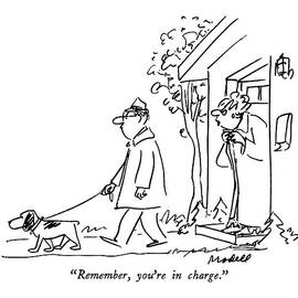 Remember, You're In Charge by Frank Modell