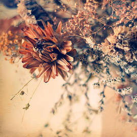 Remembrance by Jessica Jenney