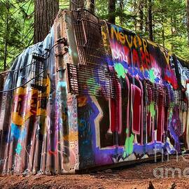 Remnants Of The Whister Train Wreck by Adam Jewell