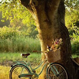 Retro Bicycle With Red Wine In Picnic by Nightanddayimages