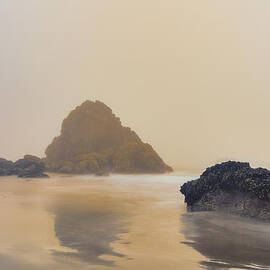 Reverie by Adam Mateo Fierro