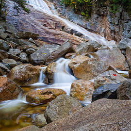 Ripley Falls And Red Maple Leaf by Jeff Sinon