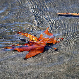 rippling amber by Joe Schofield