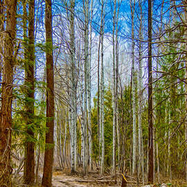 River Run Trail at Arrowleaf