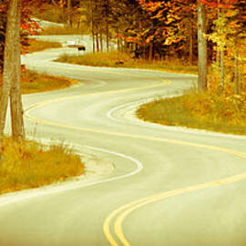 Road Bending Through The Trees by Duluth To Door County Photography