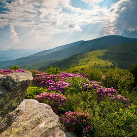Roan Mountain from Appalachian Trail near Jane's Bald by Dave Allen
