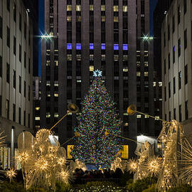 Rockefeller Center Christmas Tree by Susan Candelario