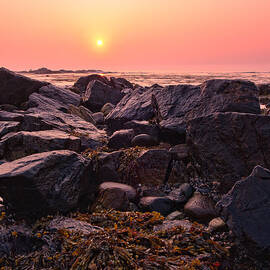 Rocks And Seaweed Sunrise On The NH Seacoast by Jeff Sinon
