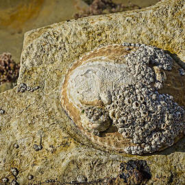 Rocky Cliff by Kelley King