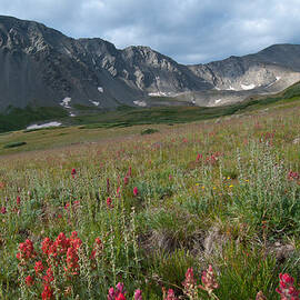 Rocky Mountain Morning Landscape and Gray's Peak by Cascade Colors