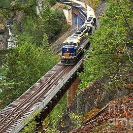 Rocky Mountaineer Railway by Adam Jewell