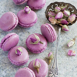 Rose Macarons by Verdina Anna