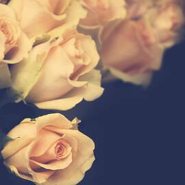 White Roses Bouguet by Jelena Jovanovic