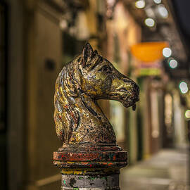 Royal Knight by David Morefield