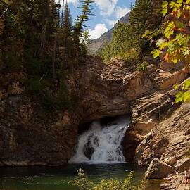 Running Eagle 2 by Natural Focal Point Photography