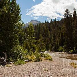 Running Eagle 3 by Natural Focal Point Photography