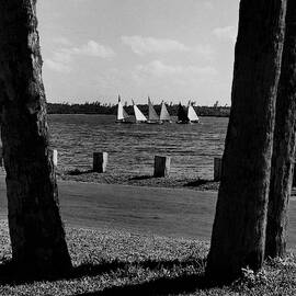 Sailboats At Jupiter Island by Serge Balkin