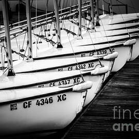 Sailboats in Newport Beach California Picture by Paul Velgos