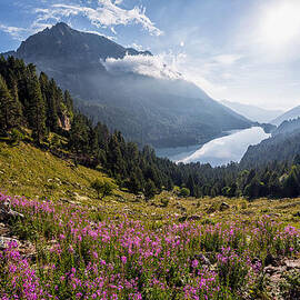 Saint Maurici National Park by Georgia Clare