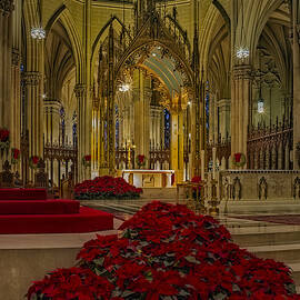 Saint Patricks Cathedral by Susan Candelario