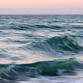 salt life square 2 by Laura Fasulo