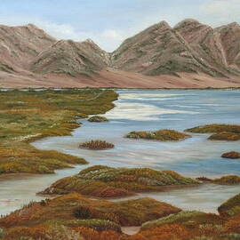 Salt Marsh by Angeles M Pomata