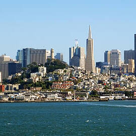 San Francisco Skyline by Kelley King