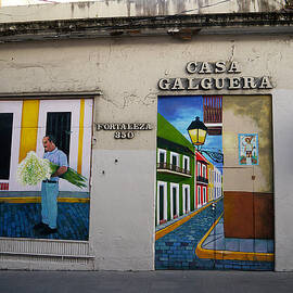 San Juan - Casa Galguera Mural by Richard Reeve