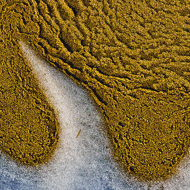 Sand Abstract by Louis Dallara